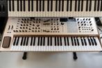 Arturia PolyBrute 12 – Nieuwstaat – met garantie, 61 toetsen, Zo goed als nieuw, Met midi-aansluiting, Ophalen
