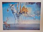 Dali (After) - De verleiding van Sint-Antonius, Antiek en Kunst, Kunst | Litho's en Zeefdrukken, Ophalen