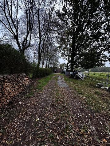 Weide 1,5ha met stalgebouw te huur beschikbaar voor biedingen