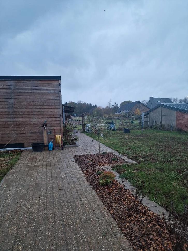 Nieuw paardenvriendje gezocht, Dieren en Toebehoren, Stalling en Weidegang, Weidegang, 1 paard of pony