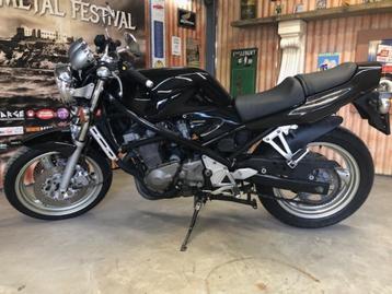 Suzuki Bandit beschikbaar voor biedingen