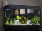 Aquarium Juwel rio, Dieren en Toebehoren, Ophalen, Zo goed als nieuw, Gevuld zoetwateraquarium
