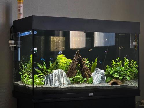 Aquarium Juwel rio, Dieren en Toebehoren, Vissen | Aquaria en Toebehoren, Zo goed als nieuw, Gevuld zoetwateraquarium, Ophalen