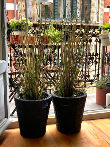 Lot de 2 grandes plantes artificielles et 2 caches pots