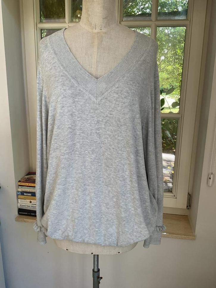 Damestrui van Green Ice , maat 46, Kleding | Dames, Truien en Vesten, Zo goed als nieuw, Maat 46/48 (XL) of groter, Grijs, Ophalen of Verzenden