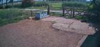 Weide te koop, Dieren en Toebehoren, Stalling en Weidegang, Weidegang, 2 of 3 paarden of pony's