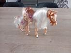 barbie paard met pony, Kinderen en Baby's, Speelgoed | Poppen, Ophalen of Verzenden, Gebruikt, Barbie