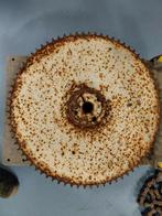 Groot industrieel kettingwiel 63cm, Ophalen