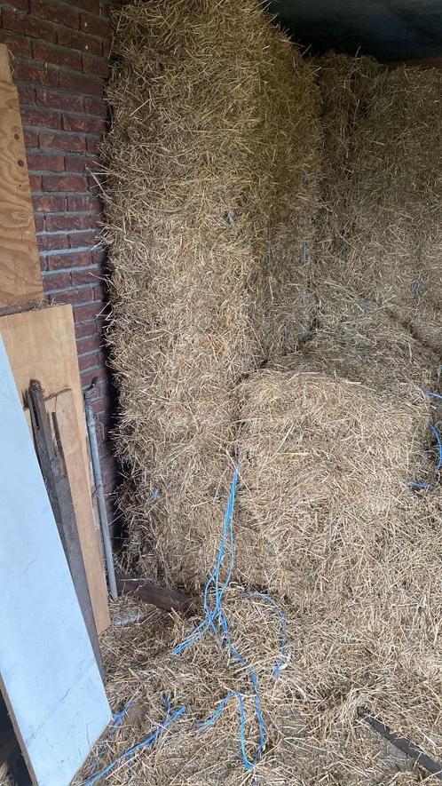 Hooibalen 60x90x180, Dieren en Toebehoren, Dierenvoeding, Vee, Ophalen
