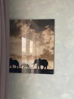 Muurdecoratie foto olifanten, Huis en Inrichting, Woonaccessoires | Schilderijen, Tekeningen en Foto's, Ophalen of Verzenden, Zo goed als nieuw