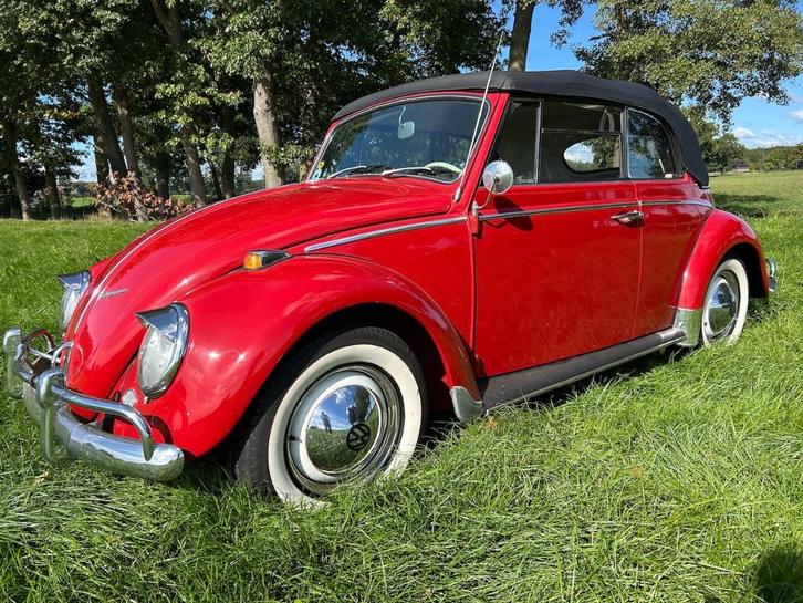 Kever Cabrio 1965 body off gerestaureerd als nieuw, Auto's, Oldtimers, Particulier, Volkswagen, Benzine, Cabriolet, 2 deurs, Handgeschakeld