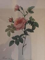 Set van 2 schilderijen met bloemen, Antiek en Kunst, Ophalen of Verzenden