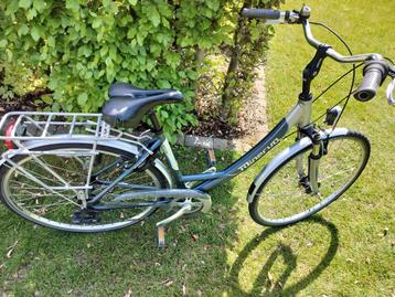 Mooie Minerva volledig in orde  beschikbaar voor biedingen