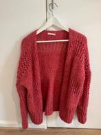 Mooie gilet- vest van Mika Elles Paris, Kleding | Dames, Overige kleuren, Maat 42/44 (L), Ophalen of Verzenden, Zo goed als nieuw