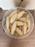 Sepia / zeeschuim (2 kg) voor vogels, aanvulling voor kalk, Dieren en Toebehoren, Ophalen of Verzenden, Nieuw