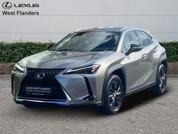 Lexus UX 250h Business Line+cam+nav+sens V&A  beschikbaar voor biedingen