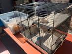 Hamsterkooi, Dieren en Toebehoren, Hamster, Mannelijk, Januari, Tam
