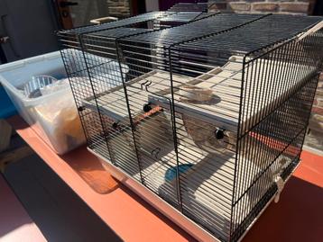 Hamsterkooi beschikbaar voor biedingen
