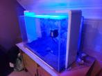 Superfish aqaurium 110L, Dieren en Toebehoren, Vissen | Aquaria en Toebehoren, Ophalen, Gebruikt, Leeg aquarium