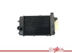 RADIATEUR EAU Aprilia Falco 1000 1999-2003 (SL1000), Utilisé