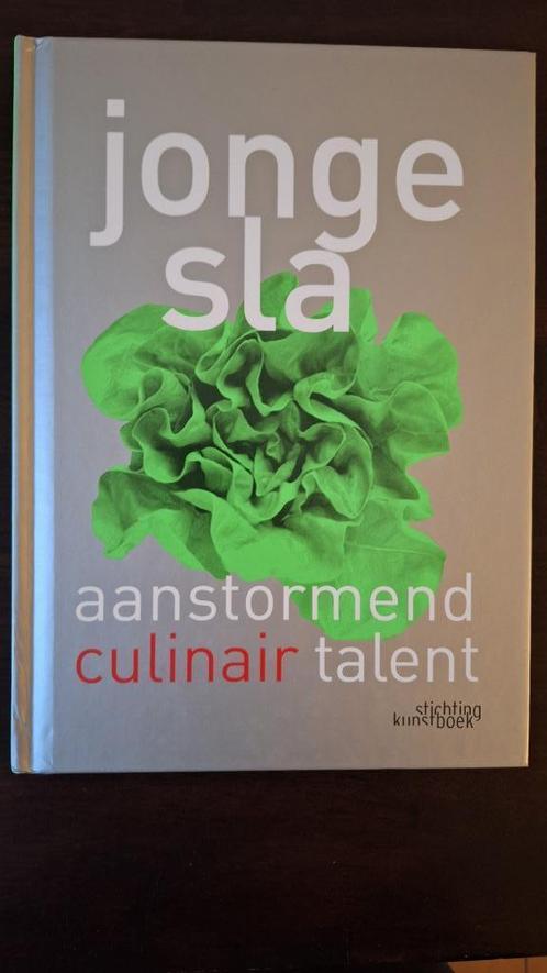 Jonge Sla 9789058562029 Hermes Vanliefde Kobe Desramaults, Boeken, Kookboeken, Zo goed als nieuw, Voorgerechten en Soepen, Hoofdgerechten