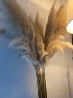 Veritable Pampa. Bouquet de 12 tiges, Enlèvement, Comme neuf