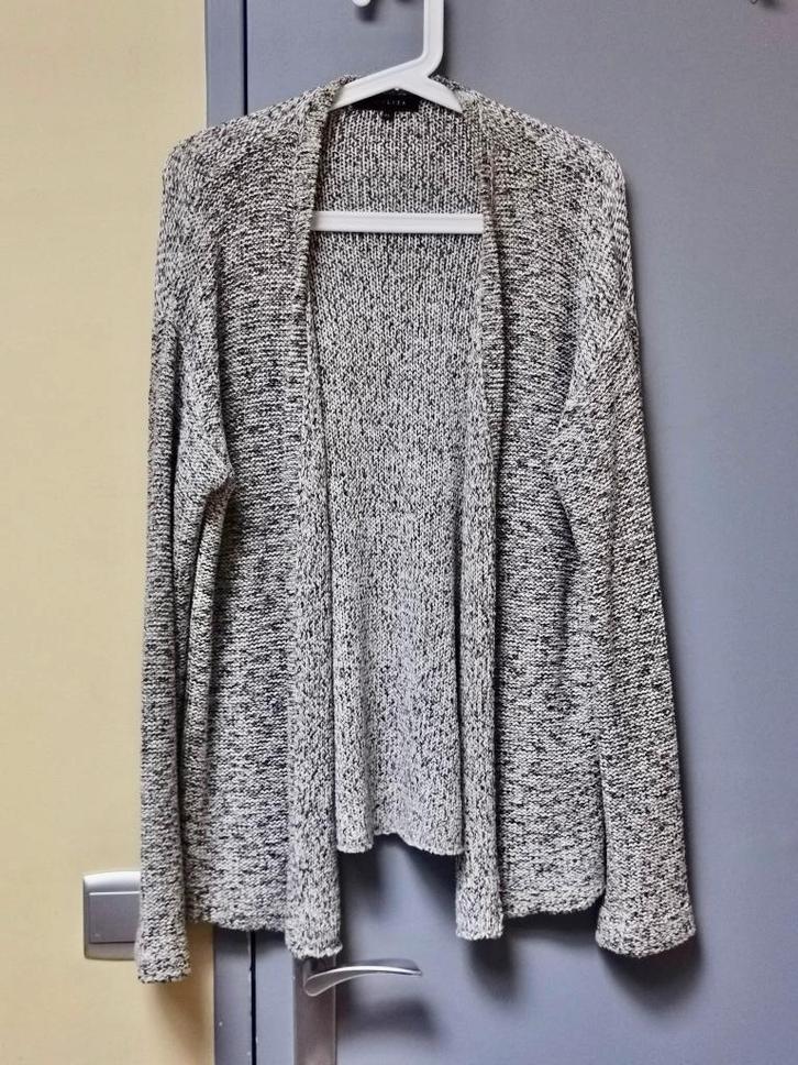 Kleding Pakket (1) - maat 46, Kleding | Dames, Dames-kledingpakketten, Zo goed als nieuw, Maat 46/48 (XL) of groter, Verzenden