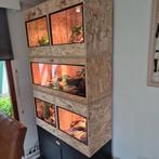 Osb3 terrarium RepHouSZ. Ook maatwerk, Ophalen of Verzenden, Nieuw, Terrarium of Paludarium