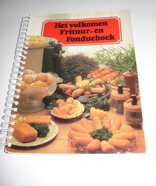 Frituur- en Fondueboek, Boeken, Kookboeken, Zo goed als nieuw, Ophalen