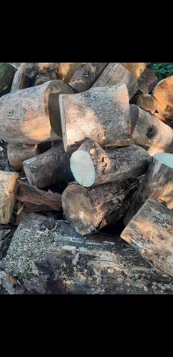 brandhout den gratis geleverd  beschikbaar voor biedingen