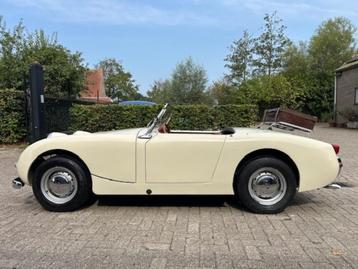 Austin Healey Sprite MKI, Autos, Achat, Boîte manuelle, Toit ouvrant, 2 portes