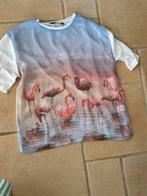 T-shirt  maat 36 flamingo, Kleding | Dames, Ophalen of Verzenden