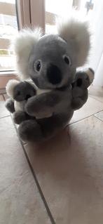 Koala beer en jongen, Ophalen of Verzenden, Beer