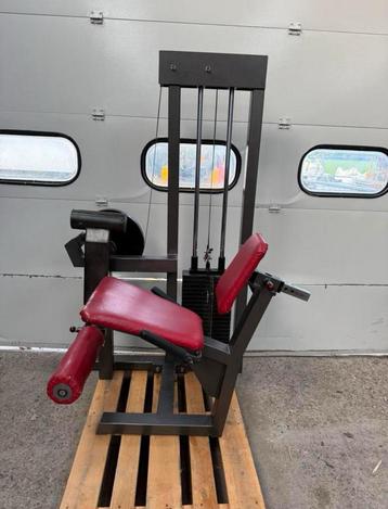 Gym 80 leg extension / legextension / beinstrecker beschikbaar voor biedingen