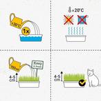 Hydro Gras vers kattenkruid GRATIS LEVERING, Dieren en Toebehoren, Katten-accessoires, Verzenden, Nieuw