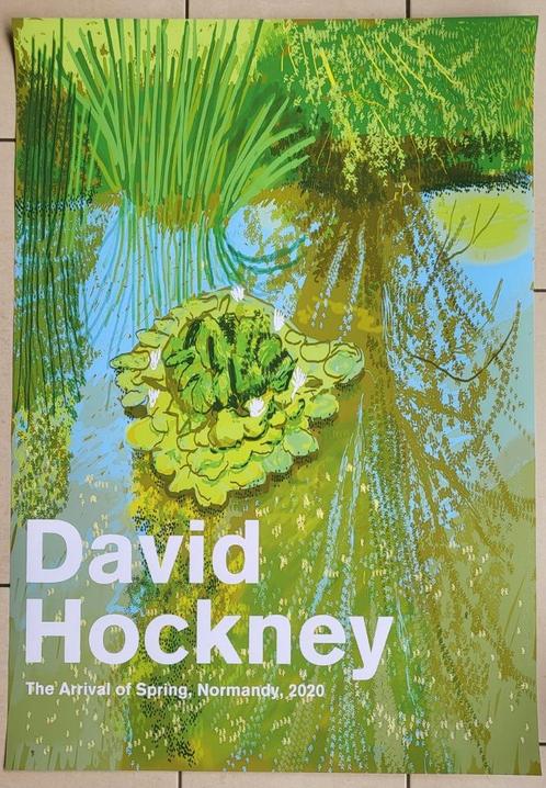 David Hockney - The arrival of spring - Tentoonstellng, Antiek en Kunst, Kunst | Litho's en Zeefdrukken, Verzenden