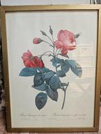 2 x rozen tekeningen, Antiek en Kunst, Ophalen of Verzenden