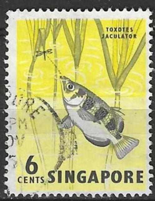 Singapore 1962/1968 - Yvert 56 - Schuttersvis (ST), Postzegels en Munten, Postzegels | Azië, Gestempeld, Verzenden