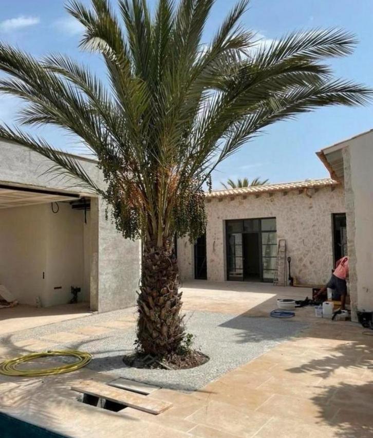 Houten vloeren & Bourgondische Dallen – Direct Leverbaar, Tuin en Terras, Bloempotten, Ophalen of Verzenden