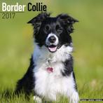 Calendrier Border Collie 2017, Envoi, Calendrier annuel, Neuf