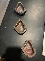 Lots de 3 mangeoires pour reptiles, Enlèvement