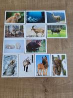 12 Panini stickers: dieren, Verzamelen, Ophalen of Verzenden, Zo goed als nieuw, Dier en Natuur