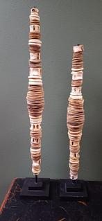 Opgezette, schelpen, wervel, been, decoratief, Ophalen of Verzenden
