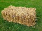 Kleine balen tarwe stro