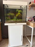 Aquarium met buitenfilter, Dieren en Toebehoren, Vissen | Aquaria en Toebehoren, Ophalen, Gebruikt