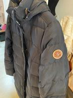 Tommy Hilfigger medium, Kleding | Dames, Jassen | Winter, Ophalen, Zo goed als nieuw, Zwart