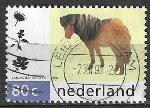 Nederland 1997 - Yvert 1581 - De Shetlandpony (ST), Timbres & Monnaies, Timbres | Pays-Bas, Affranchi, Envoi