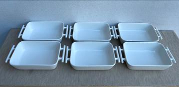 6 leuke 1persoons lasagneschaaltjes beschikbaar voor biedingen