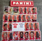 AUTOCOLLANTS PANINI FOOTBALL 2011 28X :  STANDARD c.l., Envoi, Neuf