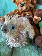 Nu te reserveren ! Super lieve kaketoe, Dieren en Toebehoren, Vogels | Parkieten en Papegaaien, Papegaai, Pratend